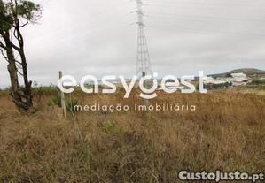 imagem_11