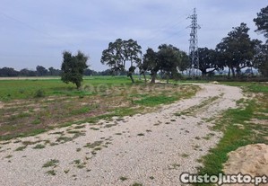 imagem_18