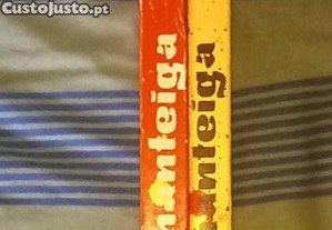 imagem_7