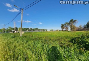  **Terreno Rústico de 10.000m² no Coração do Pinhal Novo   Um Refúgio Natural com Excelente Localização!**  