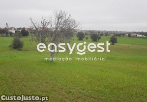 imagem_8