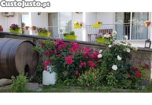 imagem_35