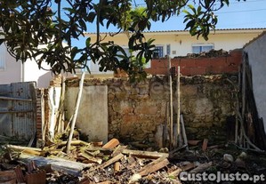 imagem_15