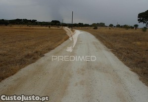 imagem_11