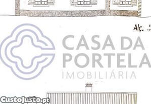 imagem_11