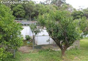 imagem_33
