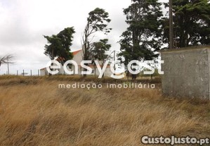 imagem_13