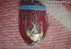 imagem_2