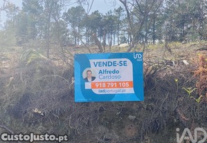 imagem_13