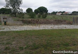 imagem_10