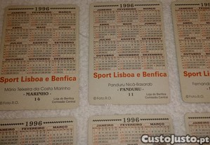 imagem_5