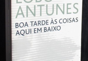 Livro Boa Tarde às Coisas Aqui em Baixo António Lobo Antunes