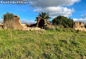 imagem_6