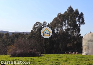 Terreno em Calendário com Viabilidade de Construçã