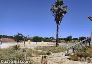 imagem_38