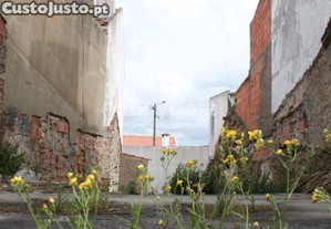 imagem_15