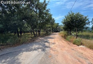 imagem_12