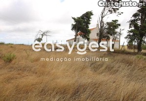 imagem_14