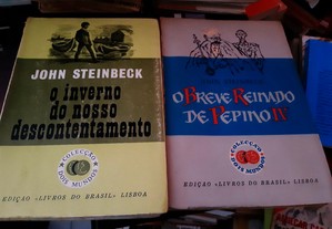 imagem_4