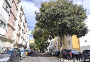 imagem_20
