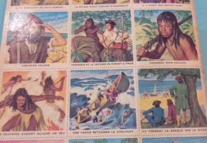 imagem_5