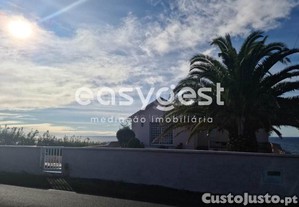 imagem_14