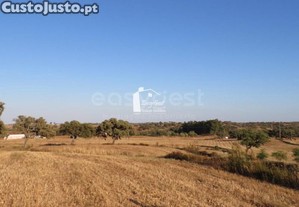 imagem_14