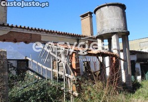imagem_12