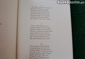 imagem_8