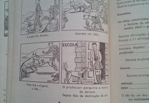 imagem_4