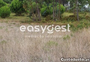 imagem_9