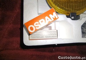 imagem_12