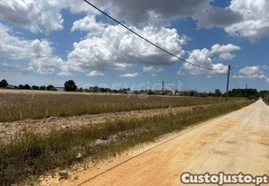 imagem_8