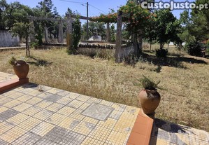 imagem_39