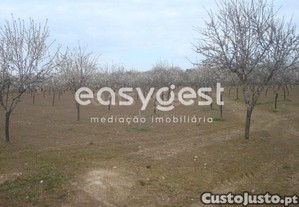 imagem_11