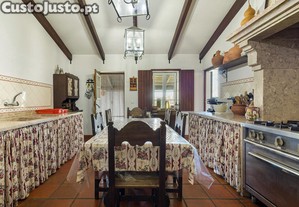 imagem_14