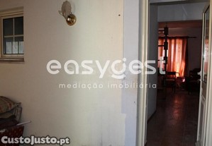 imagem_15