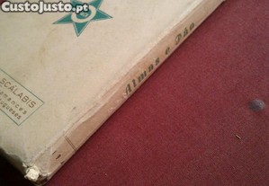 imagem_4