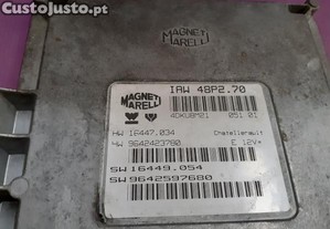 imagem_3