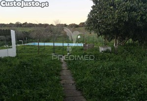 imagem_20
