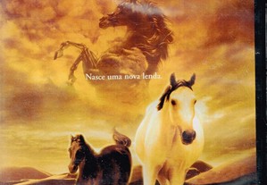 DVD: O Jovem Cavalo Negro Disney - NOVO! SELADO!