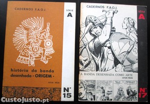 imagem_1