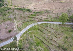 imagem_9