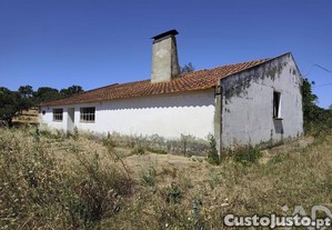 imagem_25