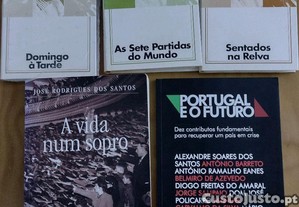 imagem_4
