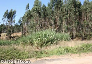 imagem_14