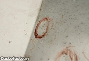 imagem_7