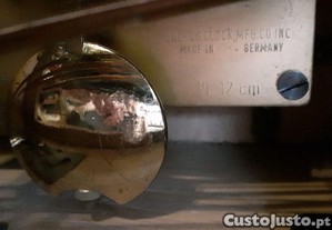 imagem_7
