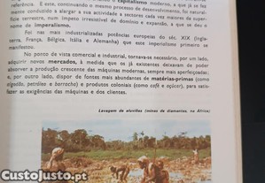 imagem_6