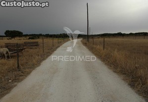 imagem_13